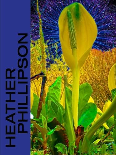 Cover of Heather Phillipson