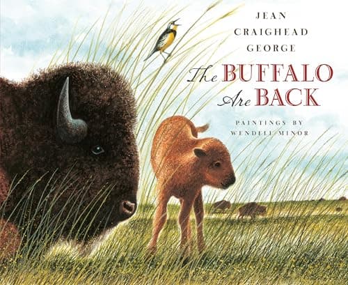 Cover of The Buffalo Are Back