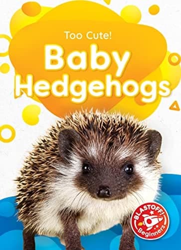 Cover of Baby Hedgehogs (Too Cute, Blastoff! Beginners)