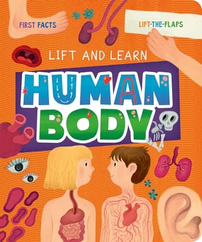 Cover of Human Body (Lift and Learn)