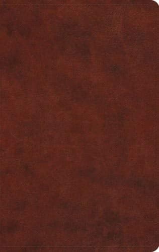 Cover of ESV Large Print Value Thinline Bible (TruTone, Chestnut)