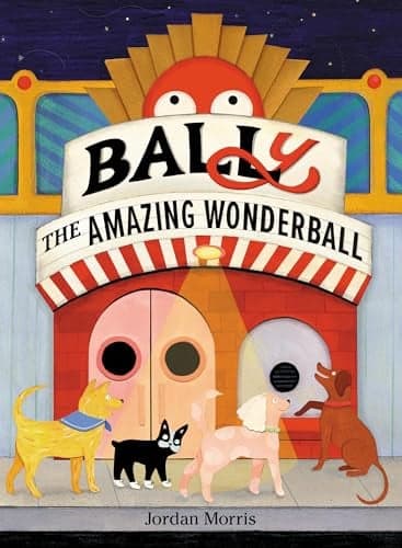 Cover of Bally the Amazing Wonderball